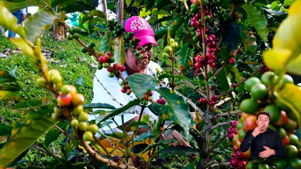 Exportaciones agropecuarias ed