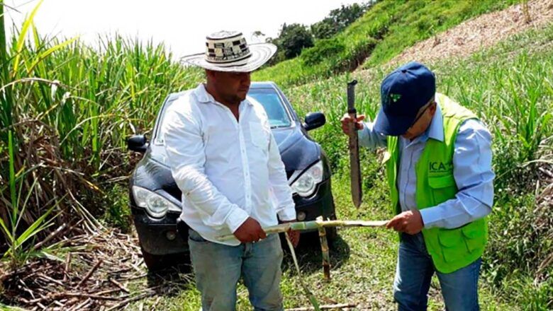 Reunión entre Gobierno y banca para revisar financiamiento al sector agroindustrial propone Petro