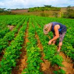 Tener vivienda o finca no afecta el Sisbén ni el acceso a subsidios señala Gobierno
