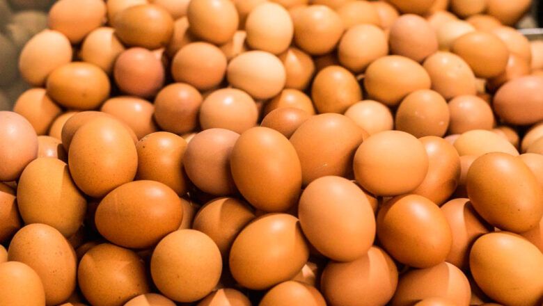 MinAgricultura comprará 3 millones de huevos a pequeños productores avícolas de Cundinamarca y Santander