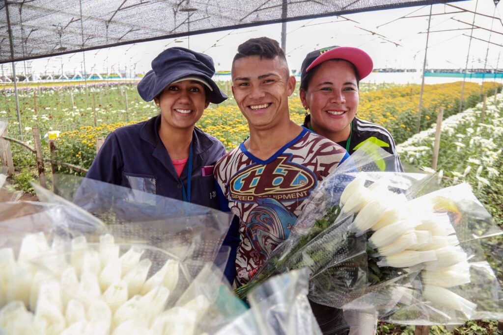 trabajadores flores ed