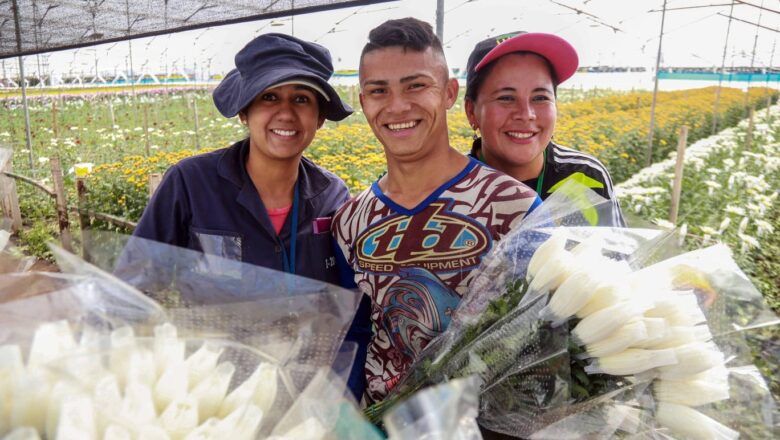 Cesantías: ¿por qué es clave conservar este ahorro para el futuro laboral y familiar?