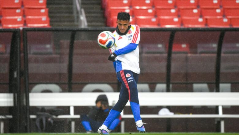 Colombia lista para nuevo amistoso este domingo ante Francia