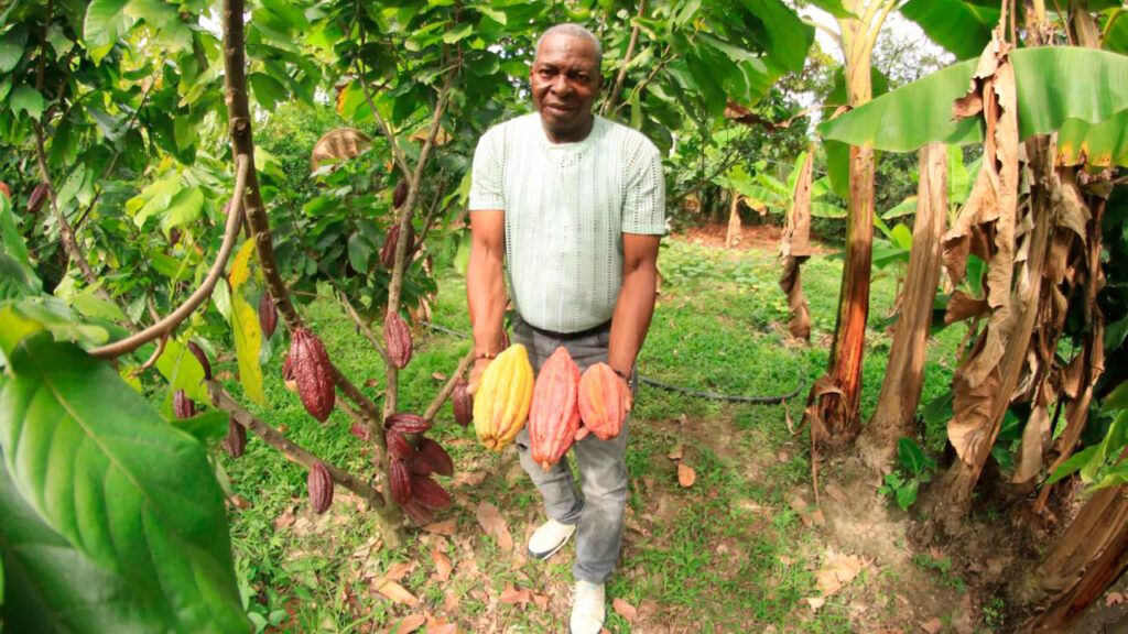 Sector rural registra la tasa de desempleo ed