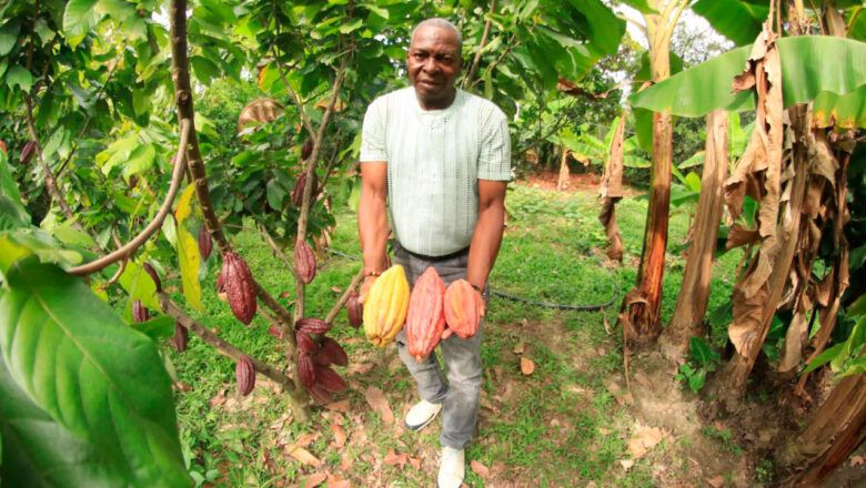 Sector rural registra la tasa de desempleo más baja en siete años y 4,8 millones de ocupados