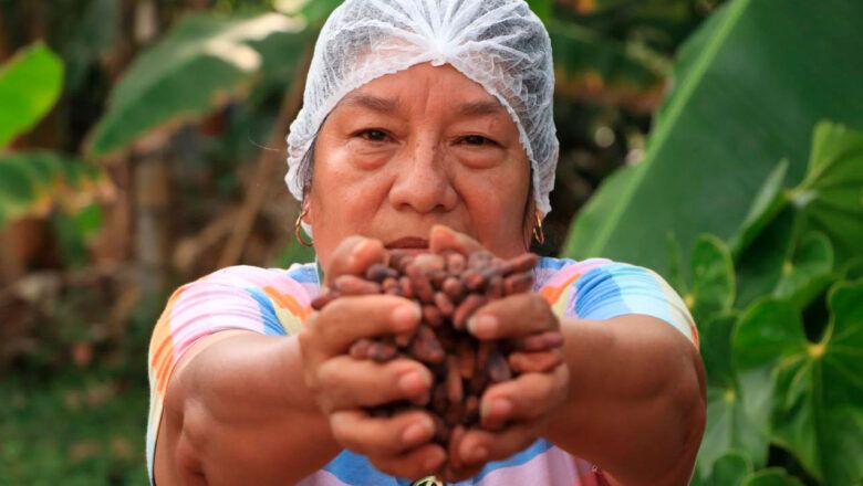 Gobierno toma acciones para proteger a cacaocultores frente a comportamiento del mercado internacional del grano