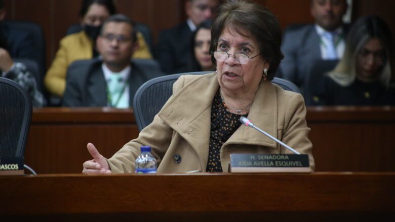 Cambios en régimen jurídico de asociaciones público-privadas, en la mira del Senado