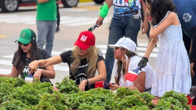 Barranquilla transformó 73 basureros en bellos jardines