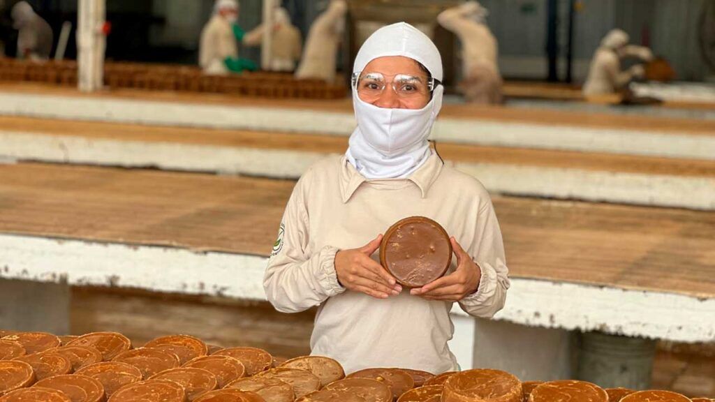Festival de la Panela reunirá a 3.000 familias del sector en Pereira