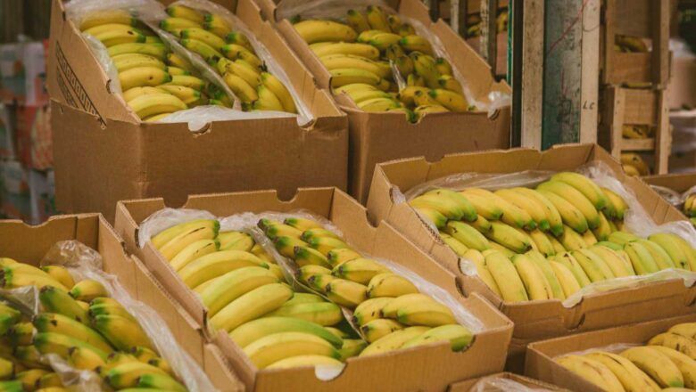 Exportaciones agropecuarias crecieron 11,6% en valor y 63,2% en volumen en febrero de 2026