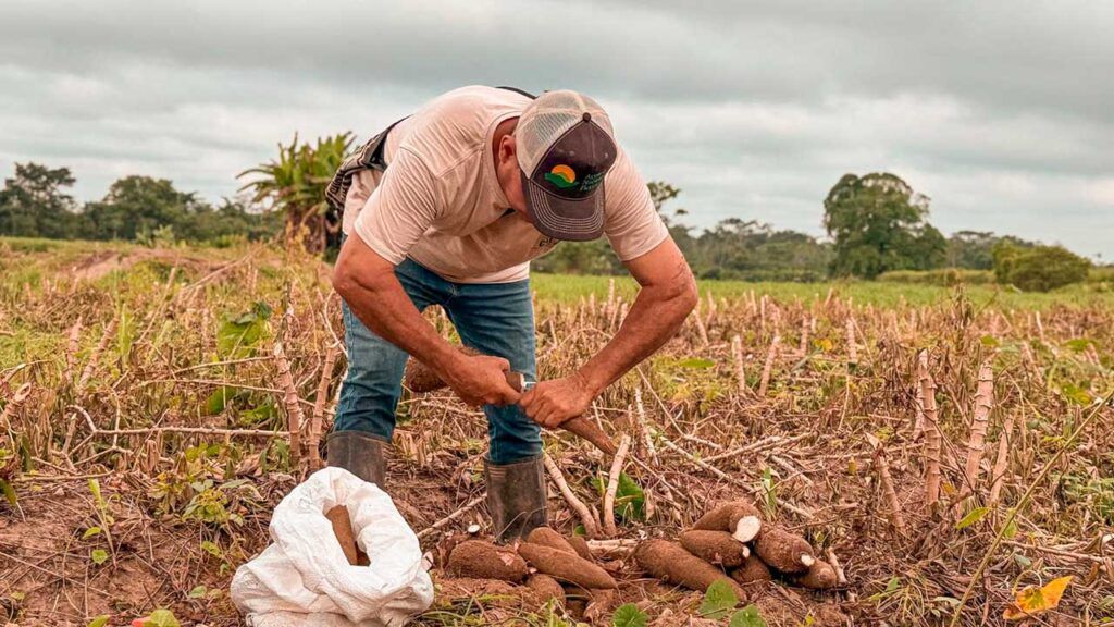 agricultura ed 1