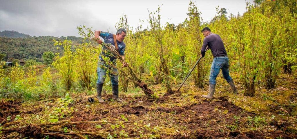 agricultura ed e1777908443333