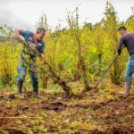 Reforma Agraria avanza en el Caribe con entrega de tierras y recursos para comunidades campesinas y grupos étnicos