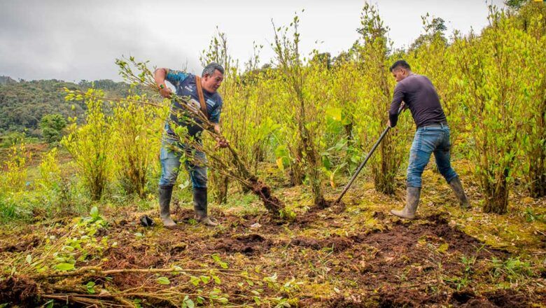 Reforma Agraria avanza en el Caribe con entrega de tierras y recursos para comunidades campesinas y grupos étnicos