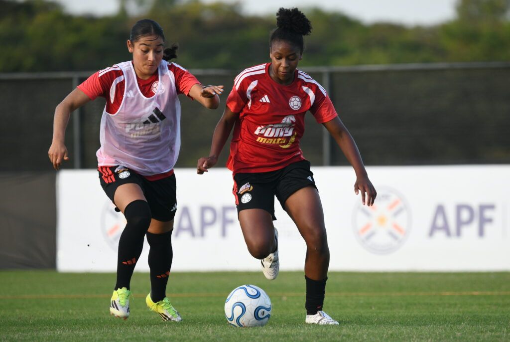 col fem sub15 ed