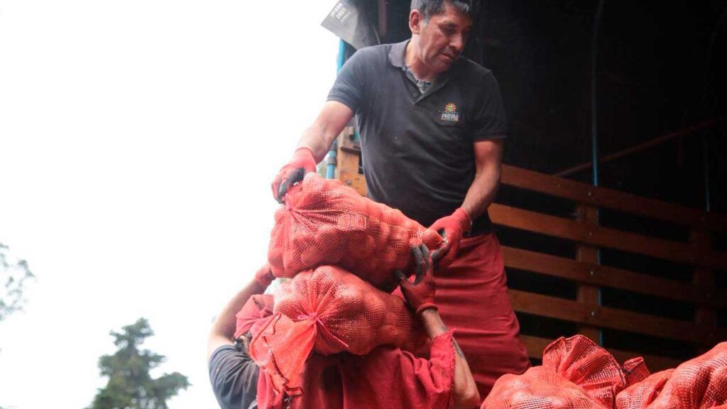 Agro colombiano alcanzó 4,9 millones de empleos en abril, el más alto en 9 años