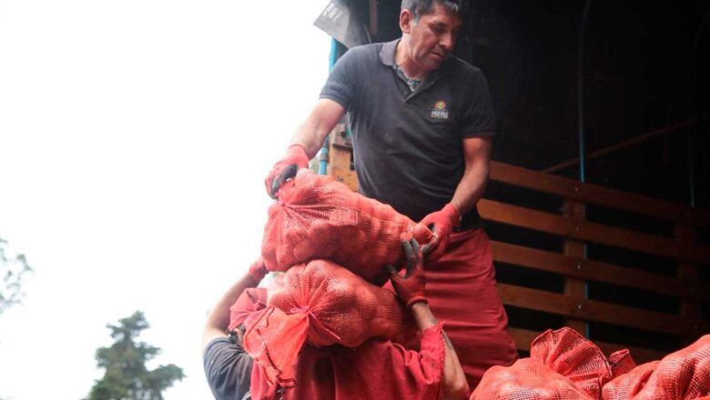 Agro colombiano alcanzó 4,9 millones de empleos en abril, el más alto en 9 años