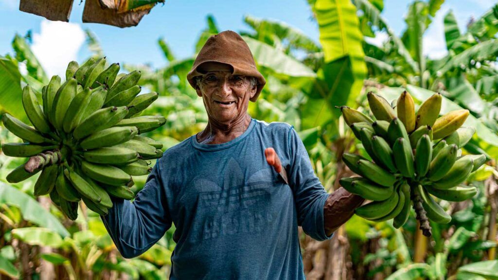 Inversión de $8.541 millones, para poner en marcha Fondo Capacitar para fortalecer la organización campesina campesinos ed