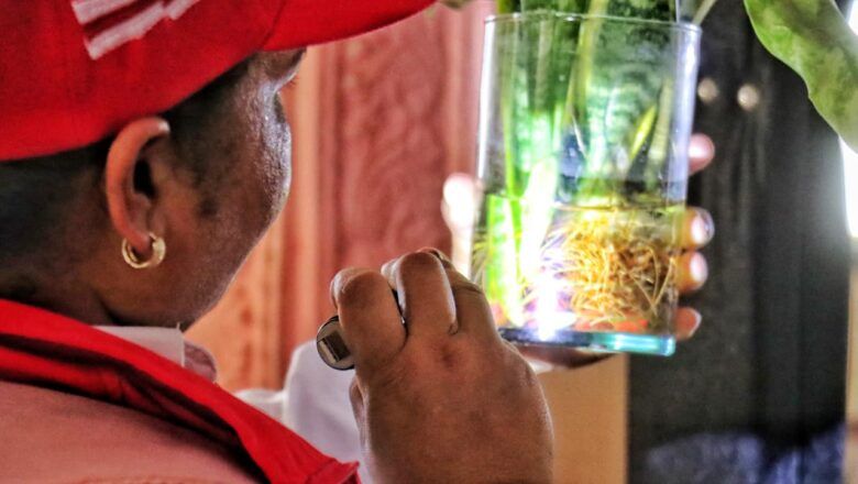 Atlántico intensifica acciones contra el dengue