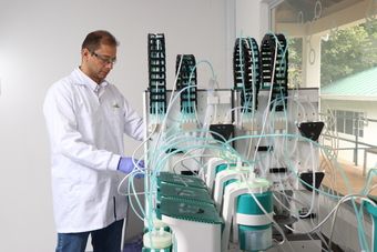 laboratorio ed