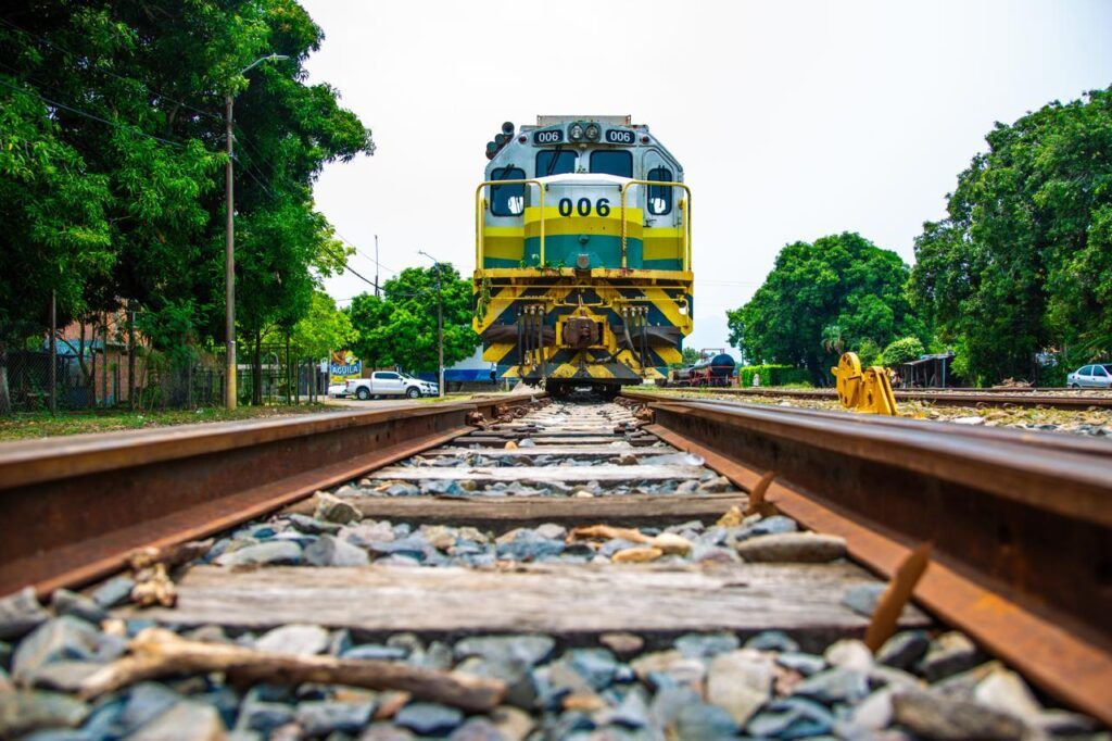 tren ed