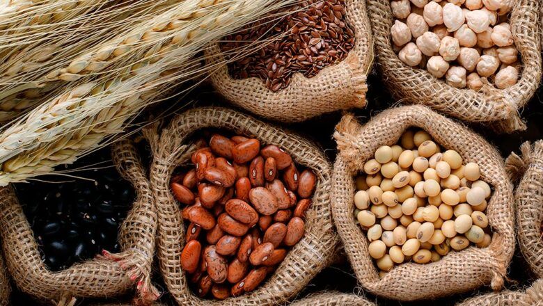 Por fenómeno de El Niño, ICA y Acosemillas exhortan a productores a usar semillas autorizadas y manejo técnico de suelos